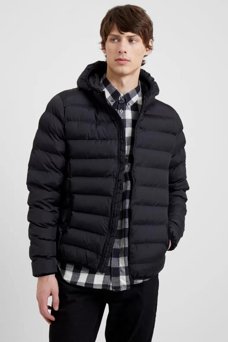 Hooded Row Padded Jacket<FRENCH CONNECTION Shop